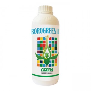 Borogreen 1 Litru